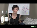#3-Rebsorten die keiner kennt!Weine aus S�dfrance!bottleplot