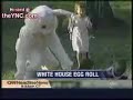 white house has finally cracked (easter 2006) white house has finally cracked (easter 2006)