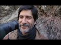 Rare snow leopard sighting  - Snow Leopard: Beyond the Myth - BBC animals