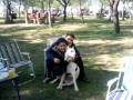 videos de dogo argentino nº1