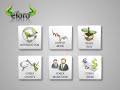 Forex Software