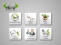 Forex Software
