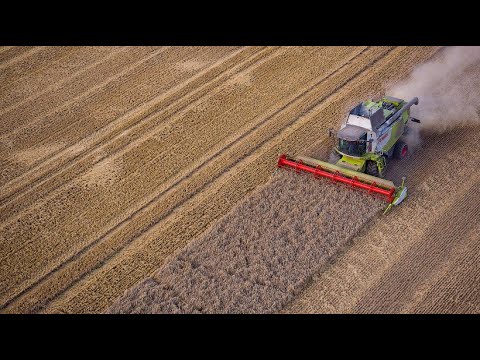 Landwirtschaftsministerin Klöckner ist zufrieden: Ern ...