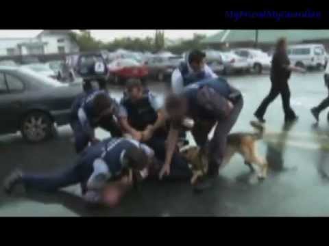 K9 - This is a Video I put together in my spear time with just basic editing software, to appreciate the life's saved by these dogs and there amazing agility and ...