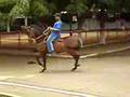 potro trochador Epicentro Video 1