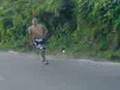 videos de caminata de manolo 3