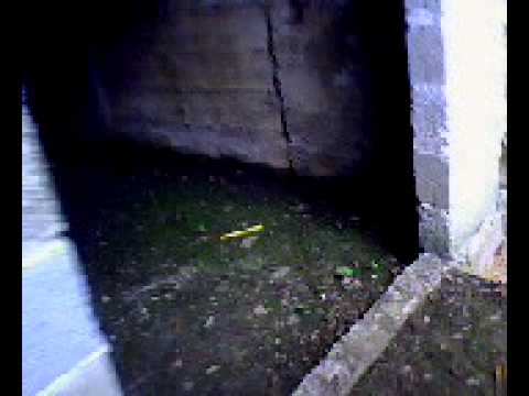 DUENDE DE VERDAD.avi