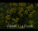 Vihnih (L�) Reeh