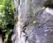 Walking Around Tasik Dayang Bunting