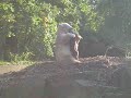 Knut schwimmt und spielt Knut schwimmt und spielt