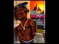 Blame it on me (REMIX) Akon ft. 2Pac