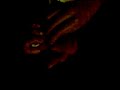 firdaouss morad FA