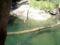 6-08-07 Sonoma Lake fishing