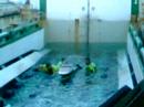 Havyard 845