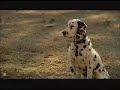 Budweiser \"Team\" Super Bowl XLII clip Budweiser \"Team\" Super Bowl XLII clip