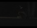 Epic Fail-George Zikos_ The Scatman Epic Fail-George Zikos_ The Scatman