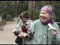 Puffing Billy and Rosella birds in Australia (NZAT-3) Puffing Billy and Rosella birds in Australia (NZAT-3)