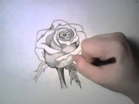 Featured image of post View 19 Rosas Dibujos A Lapiz 3D