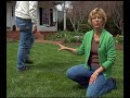 See how your lawn benefits from wearing these aerating shoes See how your lawn benefits from wearing these aerating shoes