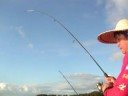 sulaman fishing sulaman fishing