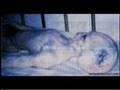 fotos de extraterrestres