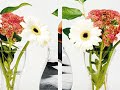 Wedding Sand Ceremony -- Vases and Sands Wedding Sand Ceremony -- Vases and Sands