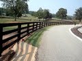 My horse coming to me in the pasture