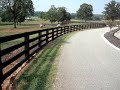 My horse coming to me in the pasture