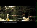 PROSPEKT SNOWBOARD TRAILER northstar snowboarding shakedown