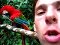 De eerste 2 dagen heb ik met de vogels gewerkt, mooie vogels zoals grote papagaaien en vele andere unike vogelsoorten.