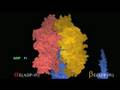 Conformational Changes in the Beta Subunits of the ATPase