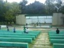 nebunii in parc