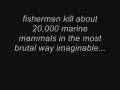 Save Cetaceans