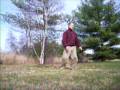 videos de EXERCISES FOR ALL SEASONS: Constant Bear