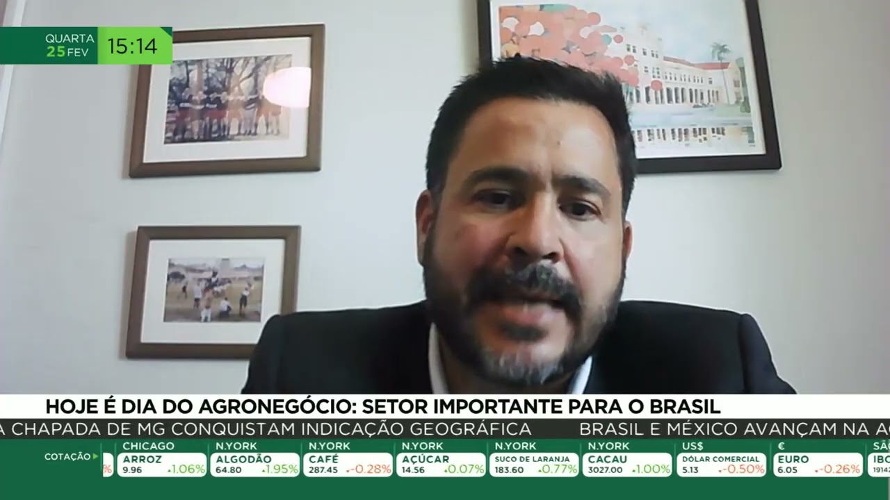 Hoje é o Dia do Agronegócio: setor importante para o Brasil