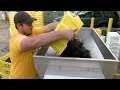 MU Opens Experimental Winery (University of Missouri)