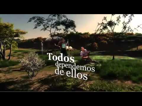 Imagen de previsualización de YouTube