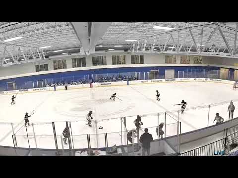 #42 Big Hit - Wait for it!!!