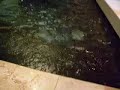 video of a very luxurious schindler hydraulic elevator at phipps plaza.

year installed: 1992
speed: ~150 fpm