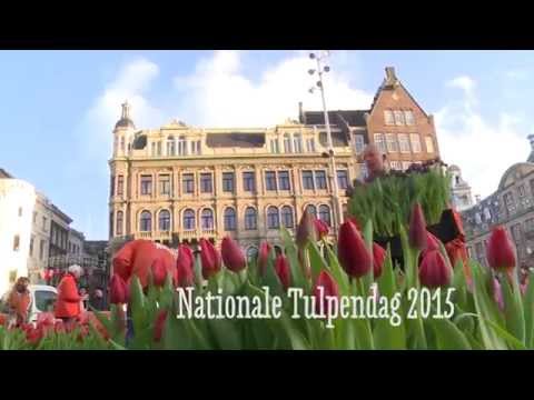 Video Nationale Tulpendag 2015 Video Nationale Tulpendag 2015