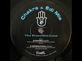 chakra & edi mis - the promised land label:krembo records, krembo records catalog#:krb lp 001, 19619 format:2 x vinyl, lp, album country:israel released:1996 genre:electronic style:goa trance credits:artwork by [cover design] - gabi zyl , gadi yohan compiled by - tal cohen-alloro executive producer - ilan ronell , ran atzmon mastered by [digital mastering] - gilli stern* mixed by [continuous mix] - dj zoo-b* written-by, producer - edi mis* (tracks: a1, b1, c1, d1, d2) , rami shapira (tracks: a1, a2, b2, c2, d2) notes:this compilation (p)&(c)1996 krembo records. distributed by flying records uk.