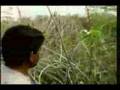 Man vs Indian Python - MUST SEE !!