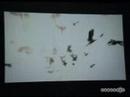 Resident Evil 5 trailer for PS3