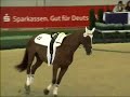voltige