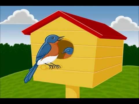 Bank Commercial Video