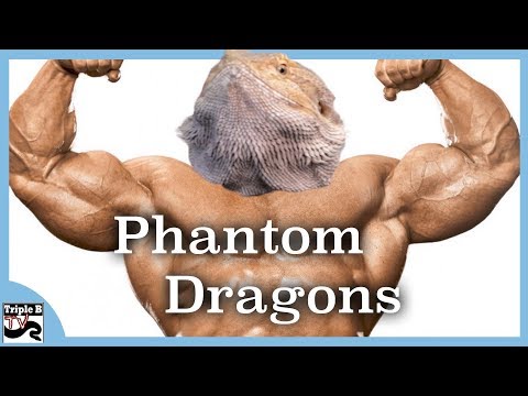 YouTube reptile video