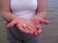 PRAIA BRINCANDO COM SIR�.wmv