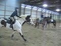 Will Coleman Clinic- Julie and Pippin take 4