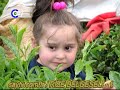 caytv-haber.html