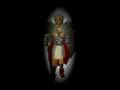 RuneScape Slimpie125 Icon('s)